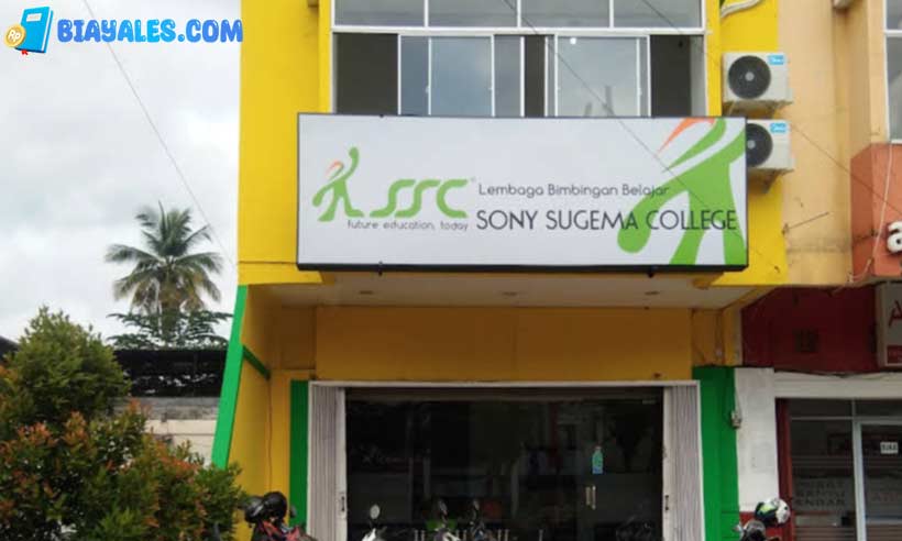 Review Les SSC